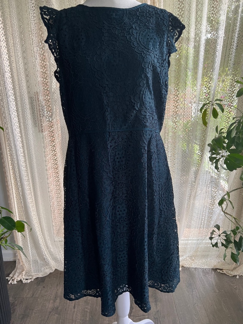 Loft deep green lace ruffle sleeve coquette dress